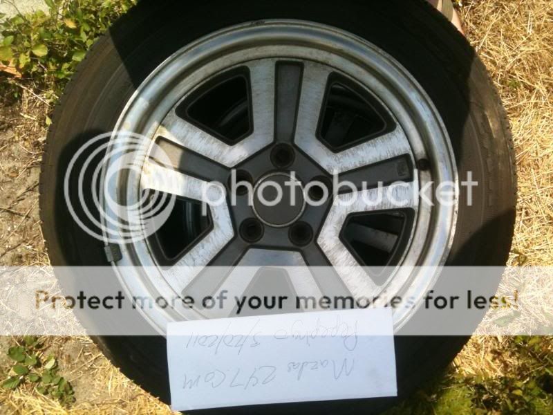 photo11.jpg