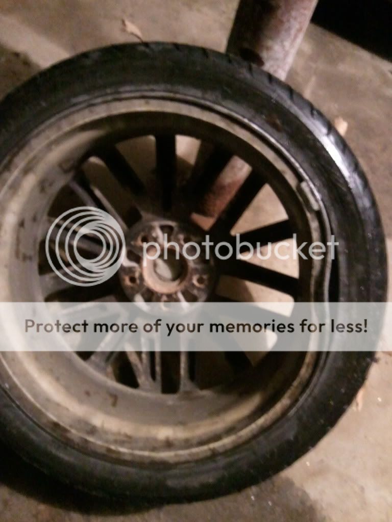 2011-02-28195214.jpg