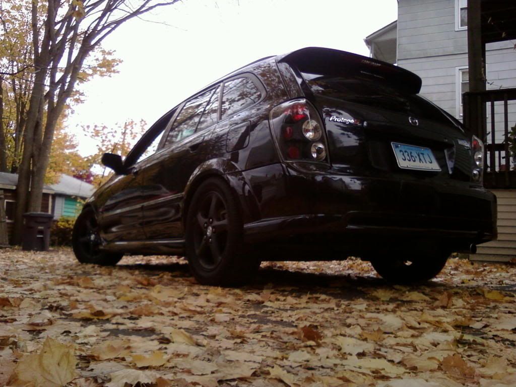 p_00313.jpg