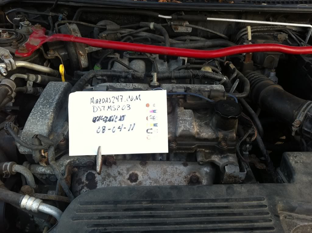df91d94c.jpg