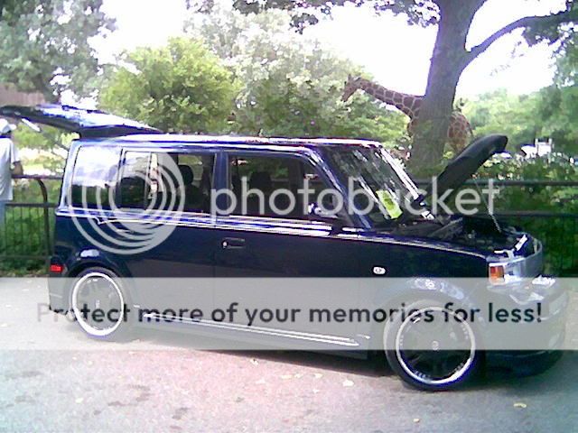 cruisininthejungle07_4.jpg