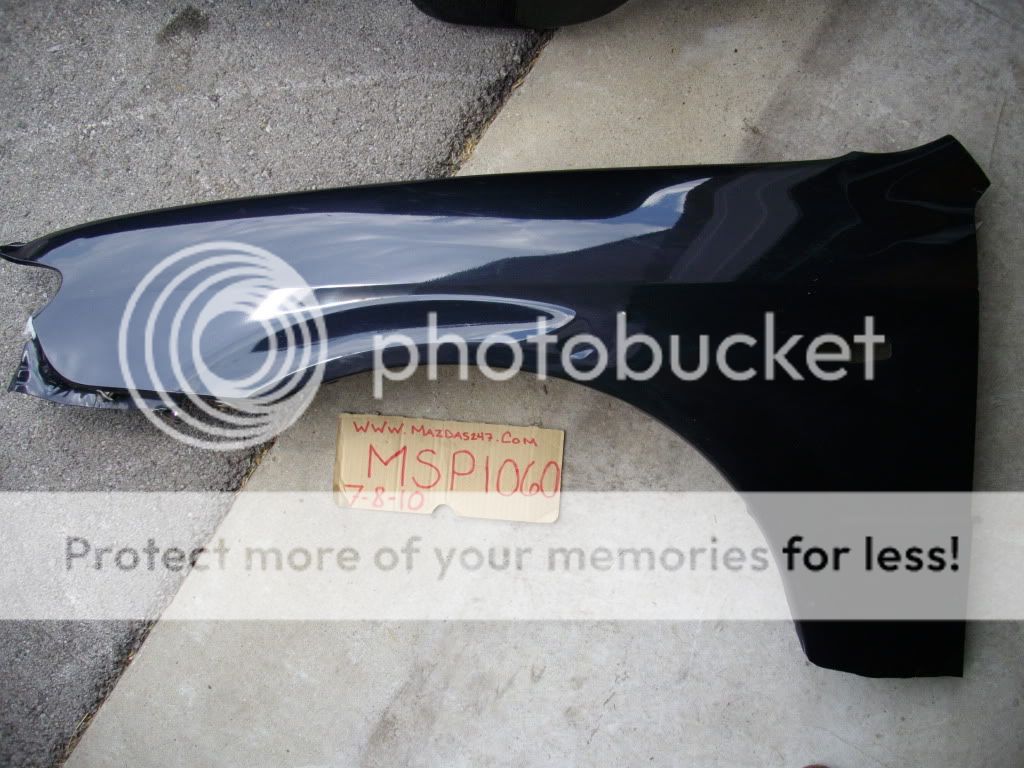 IMGP7107.jpg