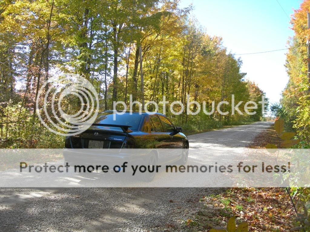 DSCN3378.jpg