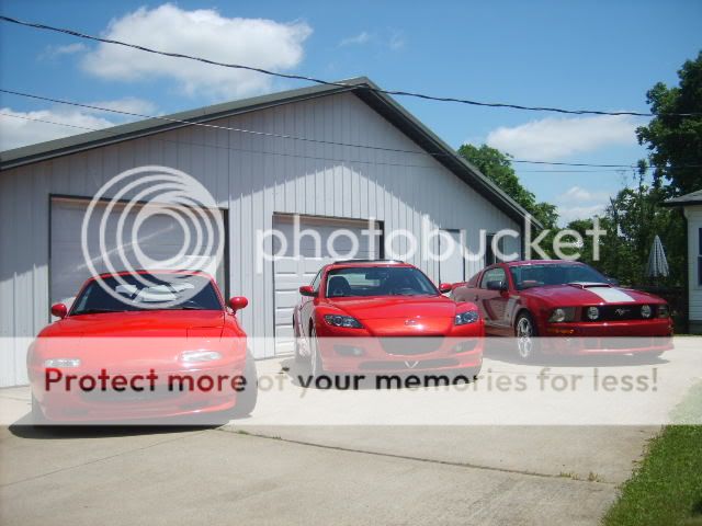 SD530031.jpg
