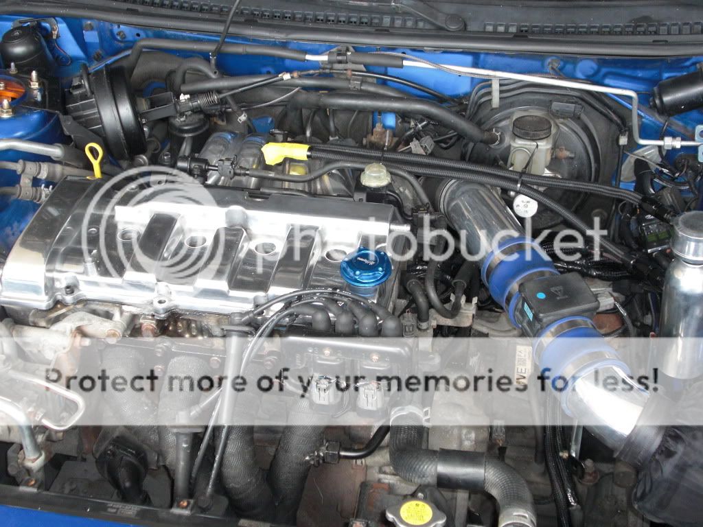 CIMG1420.jpg