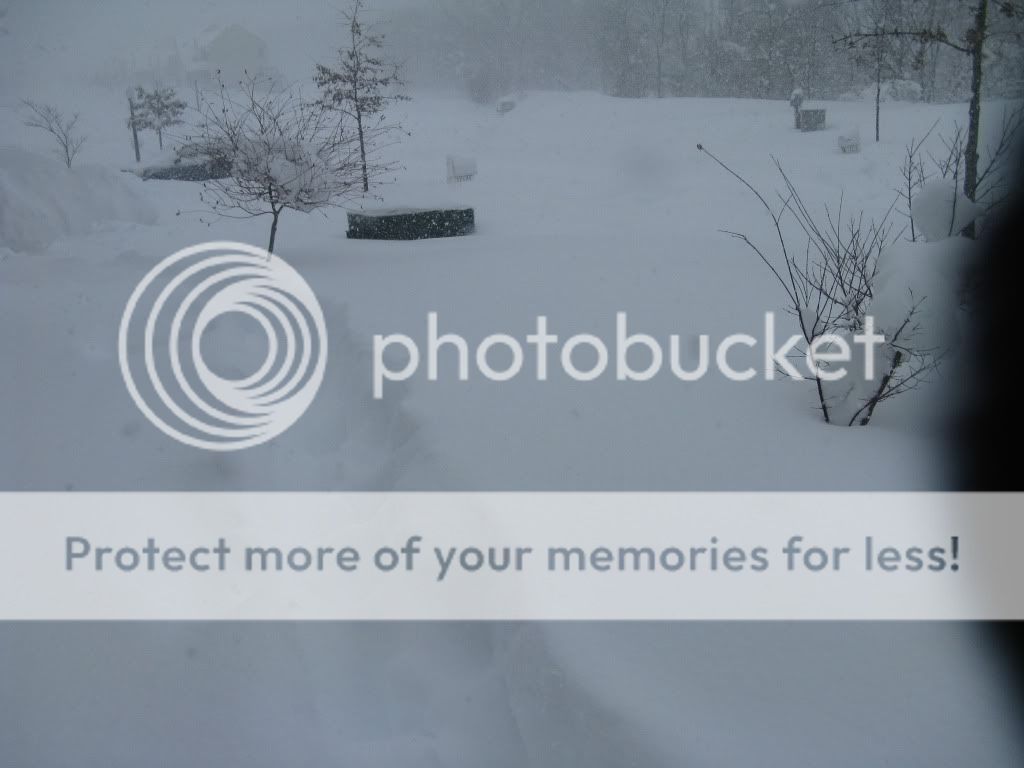 020610snow4.jpg