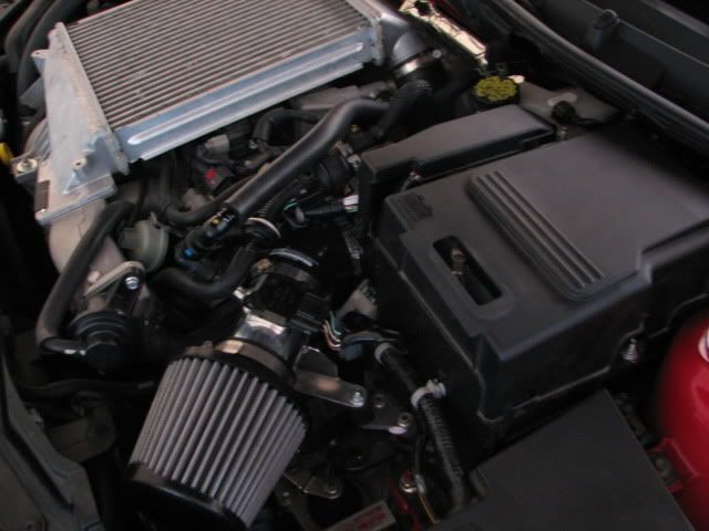 IMG_2737.jpg