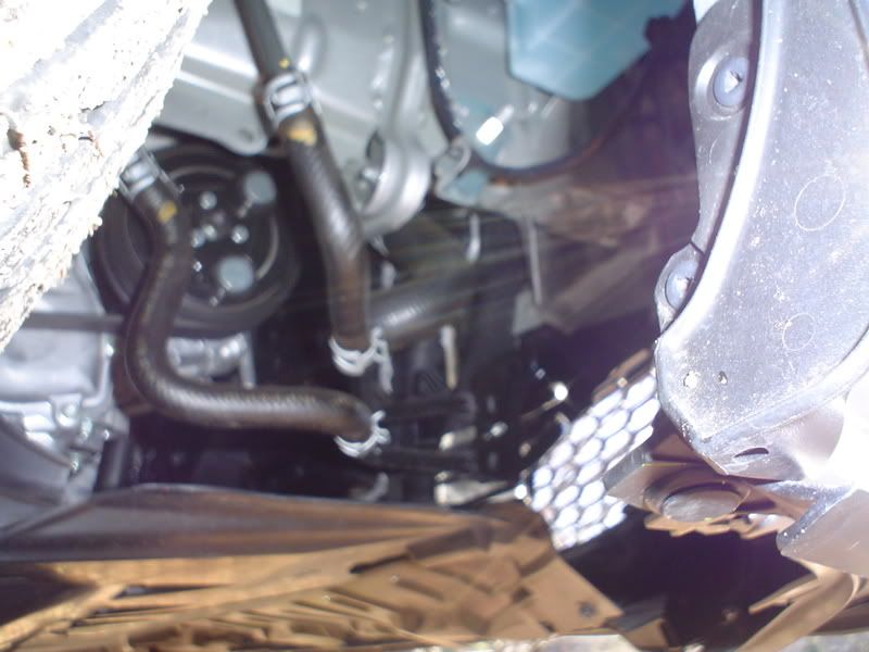wheelwellandunder.jpg