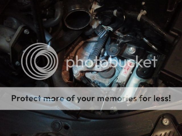 2012-05-02220052.jpg