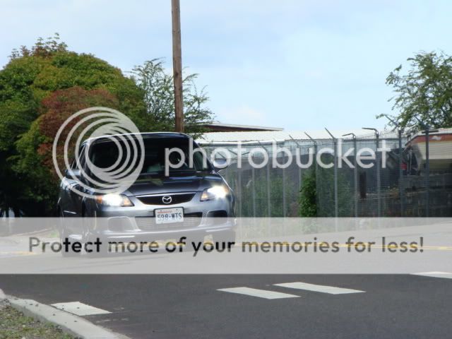 DSC01433.jpg