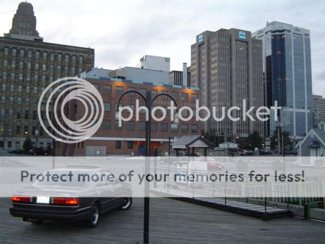 DSC00673.jpg