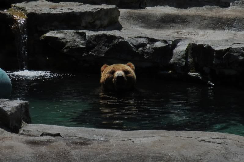zooeditied034.jpg