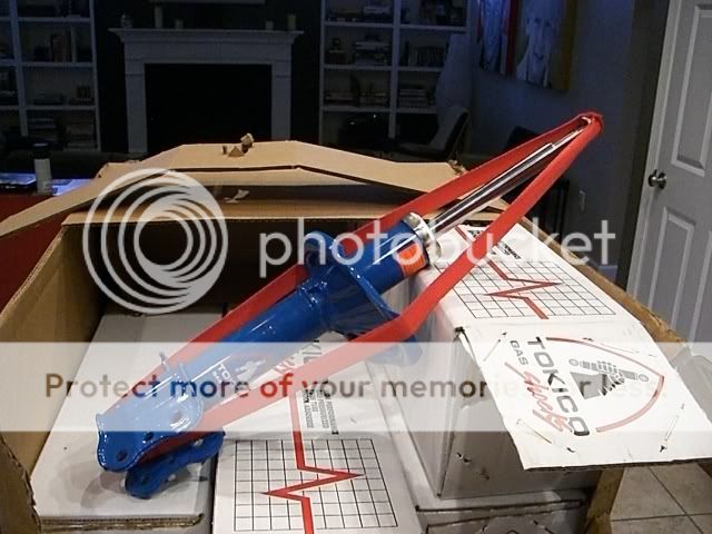 CIMG3263.jpg