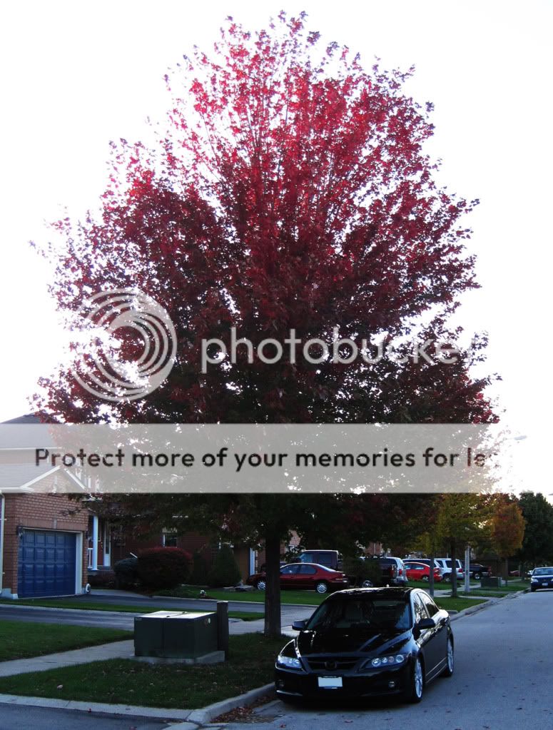 IMG_8572COPY.jpg