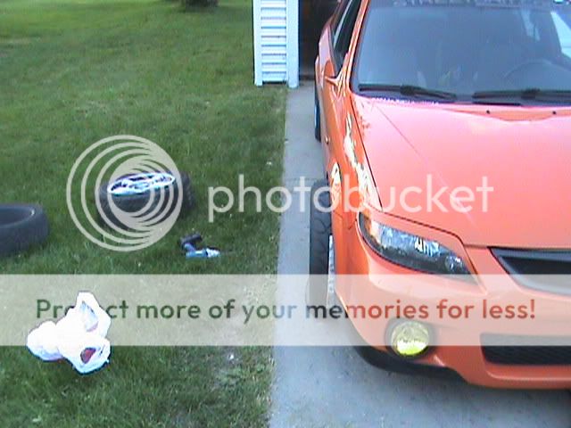 DSC00225.jpg