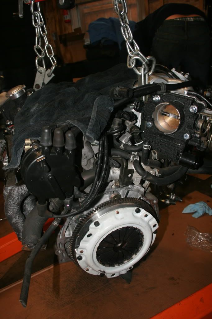IMG_7688.jpg