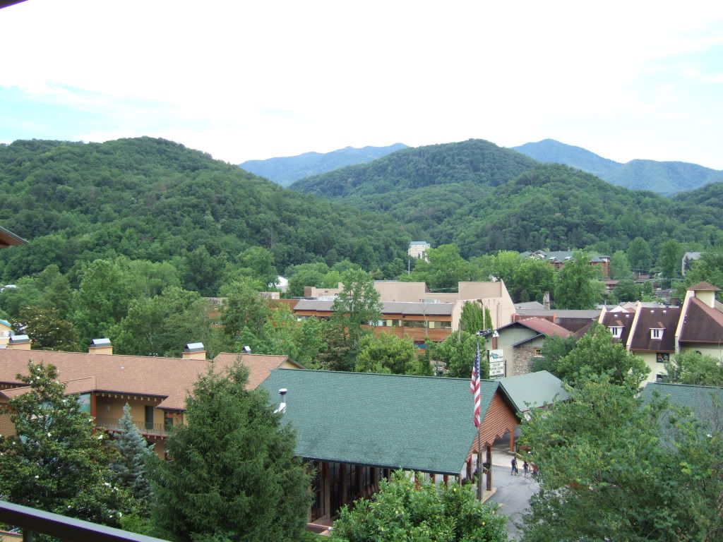 DSCF8567.jpg