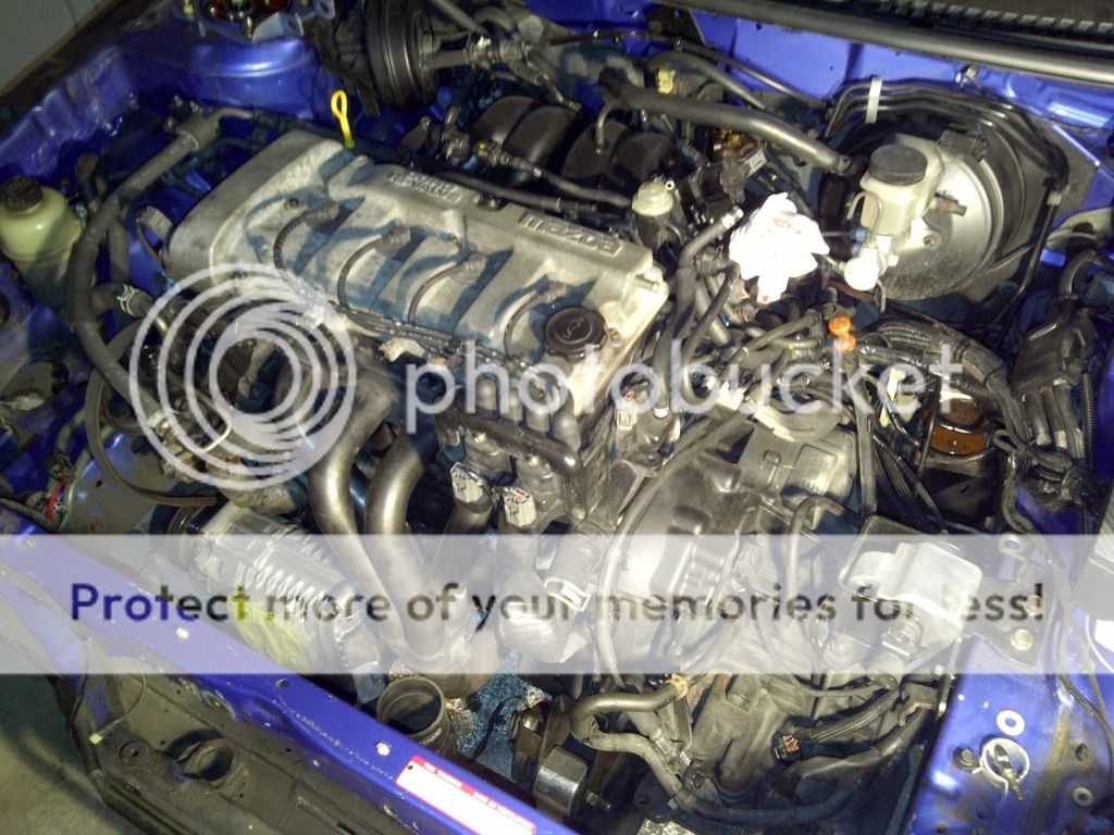 IMG-20120110-00438.jpg