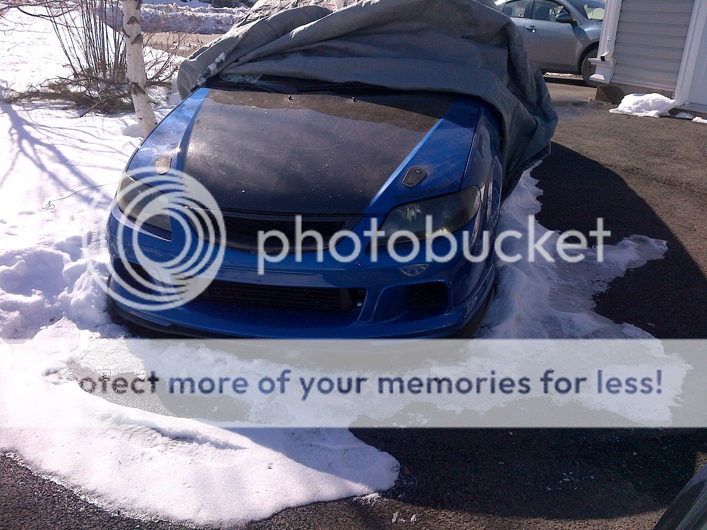 IMG-20130223-00208_zpsbf52e3b8.jpg