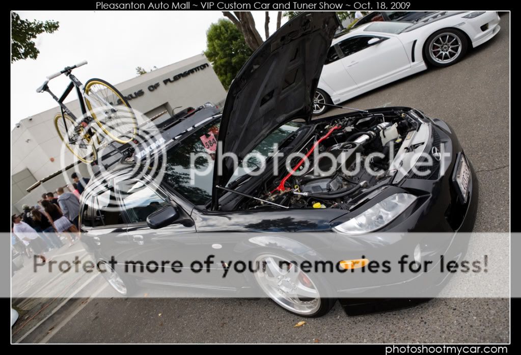 IMG_8139copy.jpg