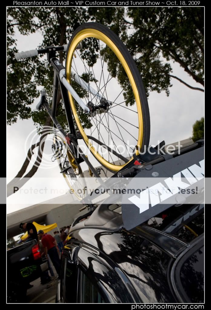 IMG_8140copy.jpg